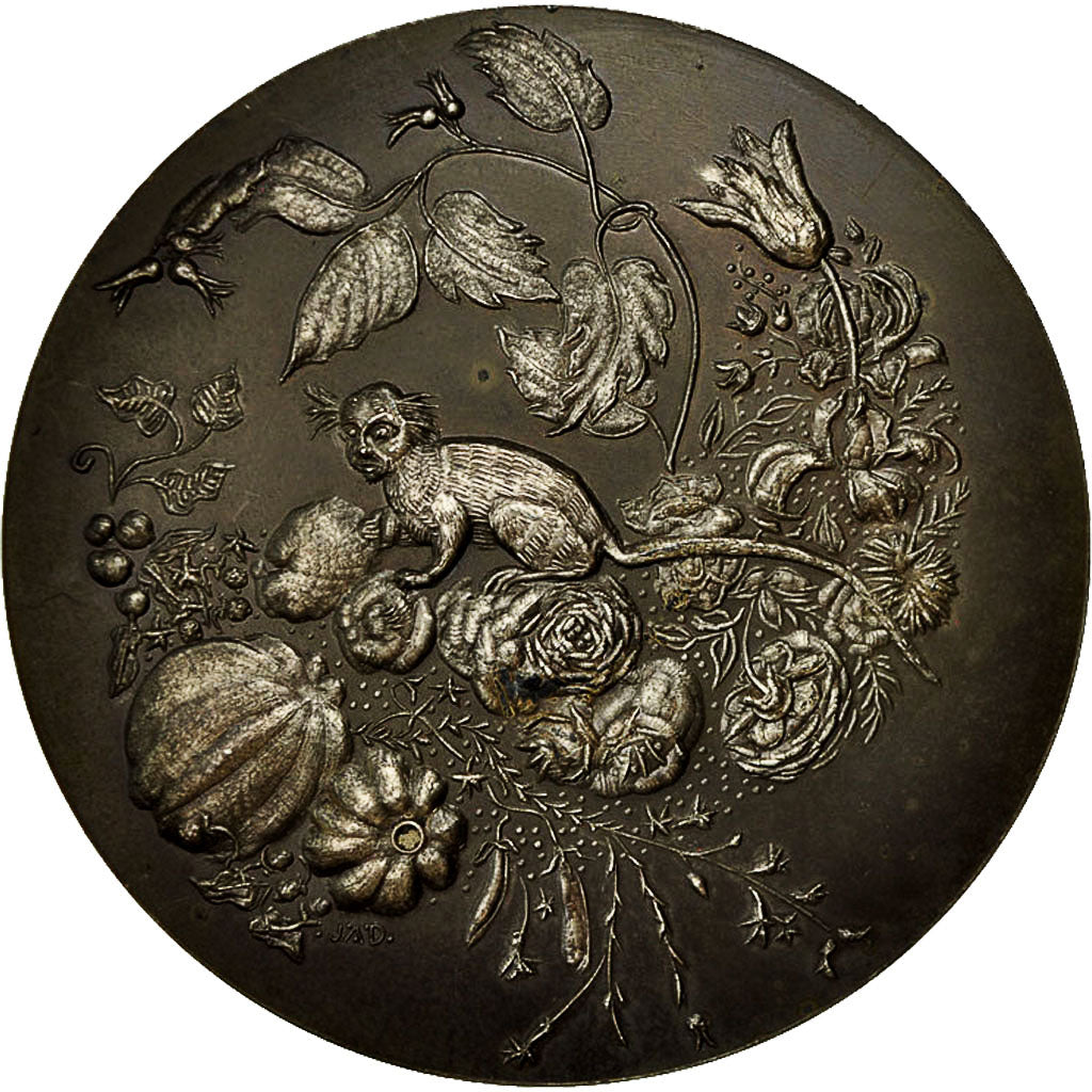 Francja, Medal, Jean Bruegel De Velours, 1969, Devigne, MS(63), Miedź