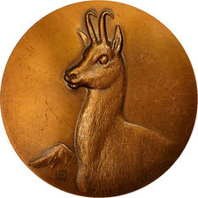 France, Medal, Chamois, E R, SPL, Bronze