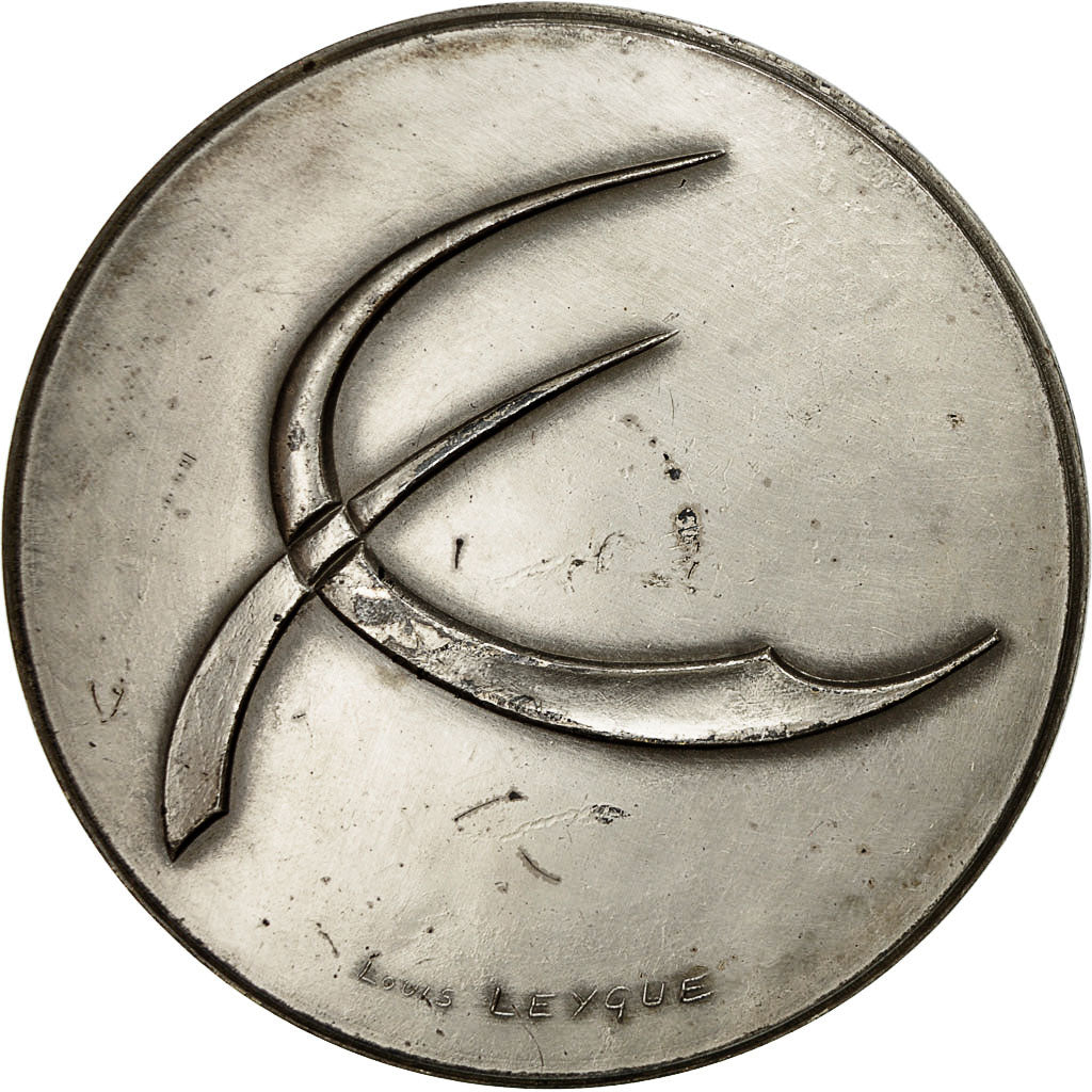 France, Medal, Psychanalyse, 1973, Louis Leygue, MS(60-62), Copper