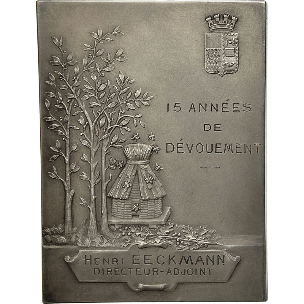 France, Medal, Caisse d'Epargne de Roubaix, MS(63), Silver