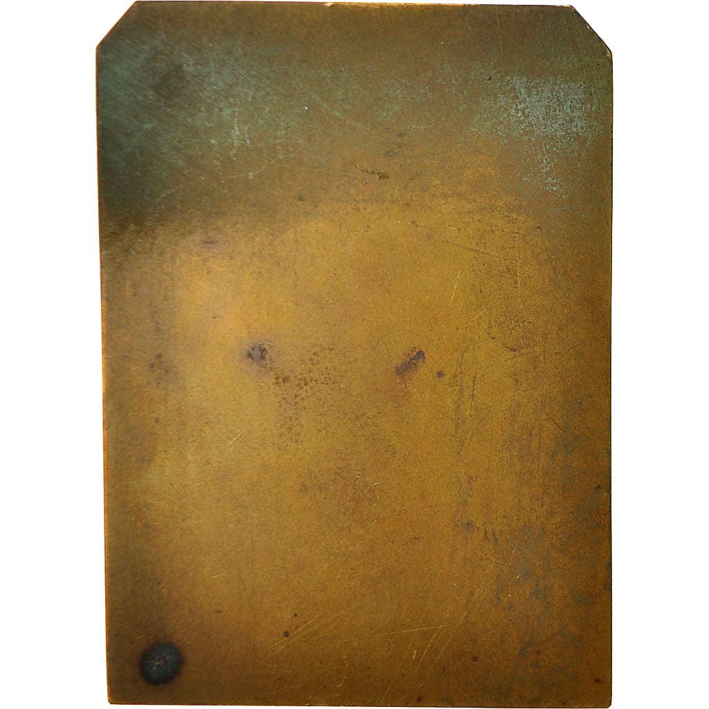 Francia, Medal, Professeur Combemale, Clinique de la Charité, 1930, Blaise, SC