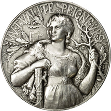 France, Medal, Mutualité des Peigneurs, 1896, Lefebvre, MS(60-62), Silver