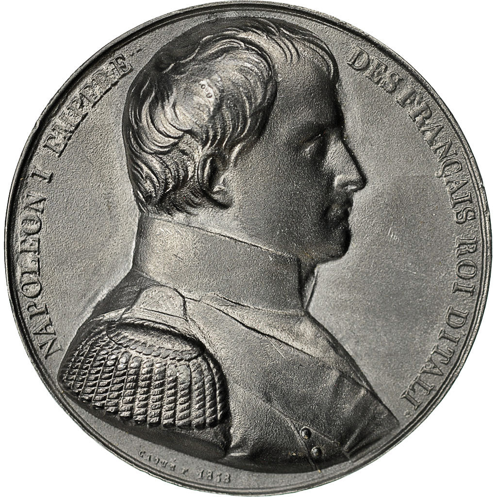 Frankrijk, Medal, Les Rois de France, Napoléon Ier, Caqué, UNC-, Tin