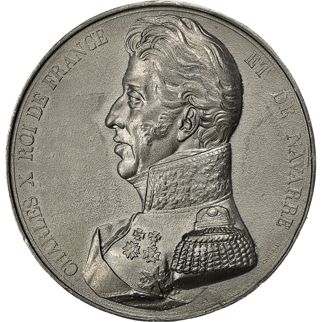 Frankrijk, Medal, Les Rois de France, Charles X, Caqué, UNC-, Tin