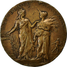 Francia, Medal, Ministère de l'Agriculture, 1903, Dubois.A, MB, Bronzo