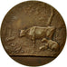 France, Medal, Concours des Races Bovines, St Brieuc, Marey, AU(55-58), Bronze