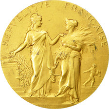 Frankrijk, Medal, République Française, Ministère de l'agriculture, 1910