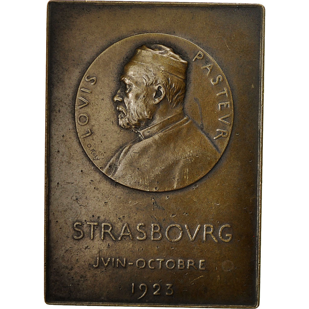 France, Medal, Exposition Internationale du Centenaire de Pasteur, 1923, Junger