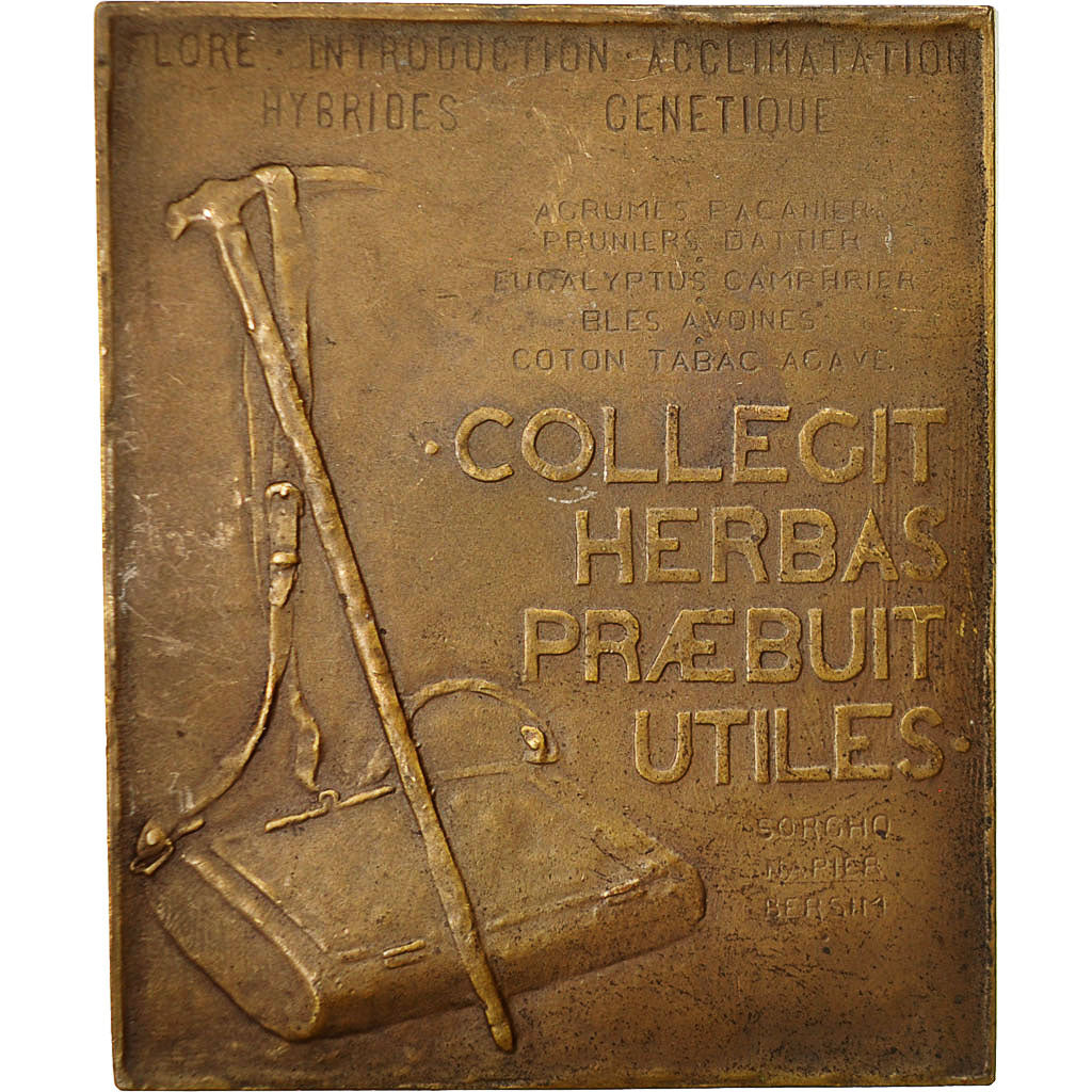 Francia, Medal, Professeur Trabut, Botaniste, 1926, Béguet, BB+, Bronzo