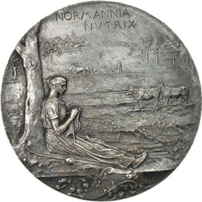 France, Medal, Exposition Nationale et Coloniale de Rouen, 1896, Roty, SUP+