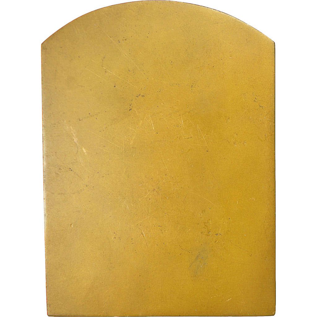 Frankrijk, Medal, Professeur Albert Brachet (1869-1930), 1935, Devreese, PR+