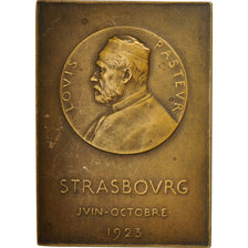 France, Medal, Exposition Internationale du Centenaire de Pasteur, 1923, Junger
