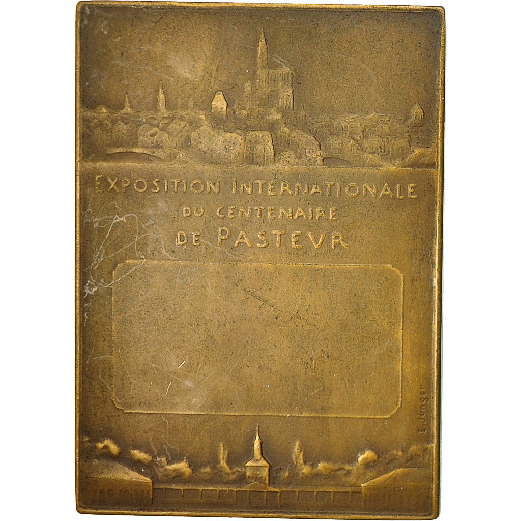 France, Medal, Exposition Internationale du Centenaire de Pasteur, 1923, Junger