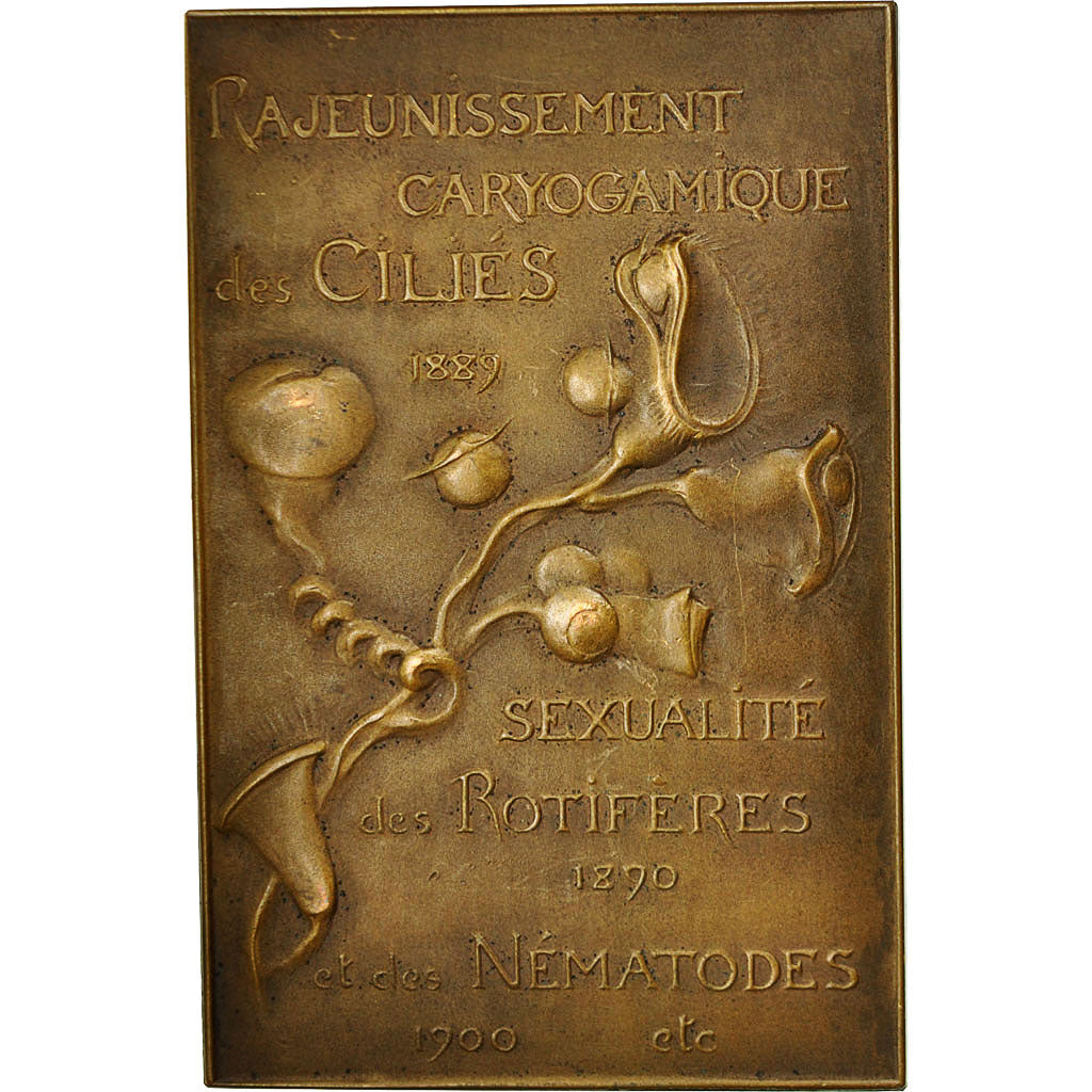 France, Medal, Professeur Emile Maupas, MS(60-62), Bronze
