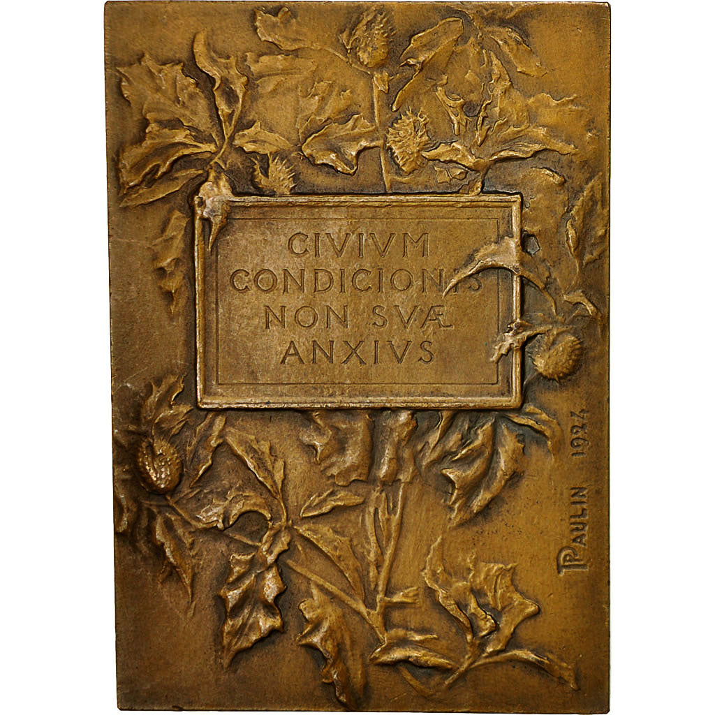 France, Medal, Professeur Paul Strauss, 1924, Paulin, SUP, Bronze