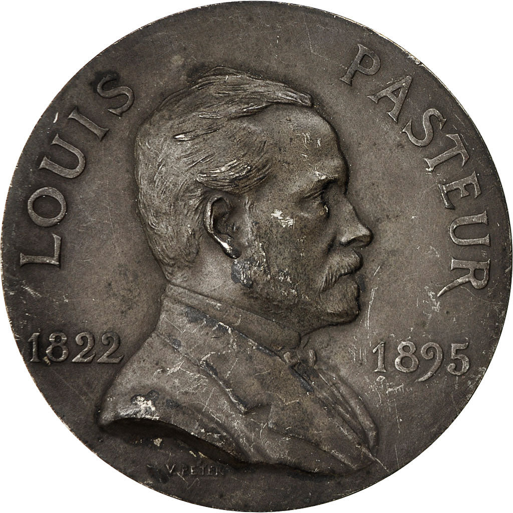 France, Medal, Louis Pasteur (1822-1895), V. Peter, AU(55-58), Bronze