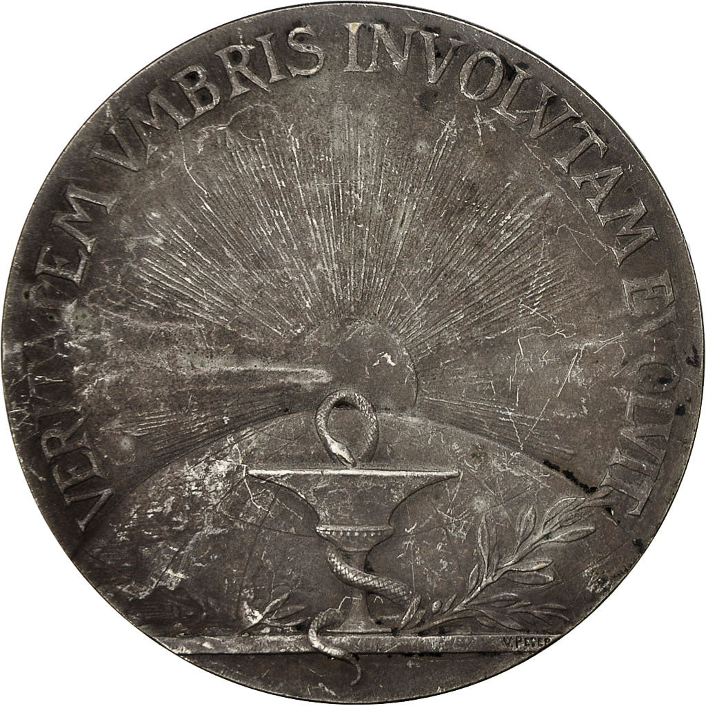 France, Medal, Louis Pasteur (1822-1895), V. Peter, AU(55-58), Bronze