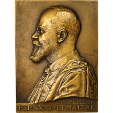 Frankrijk, Medal, Professeur Fernand Lemaitre, Hopital  Lariboisière