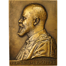France, Medal, Professeur Fernand Lemaitre, Hopital  Lariboisière
