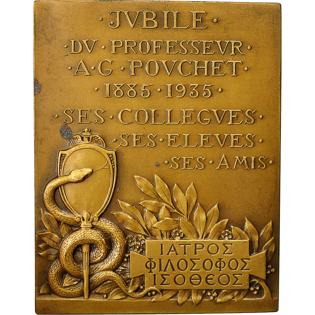 France, Medal, Jubilé du Professeur A.G.Pouchet, Prud'homme.G, MS(63), Bronze