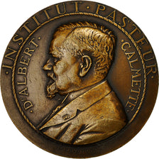 France, Medal, Institut Pasteur, Docteur Calmette, Prud'homme.G, MS(63), Bronze