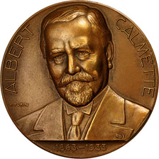 France, Medal, Centenaire de l'Institut Pasteur, Albert Calmette, 1963, Turin