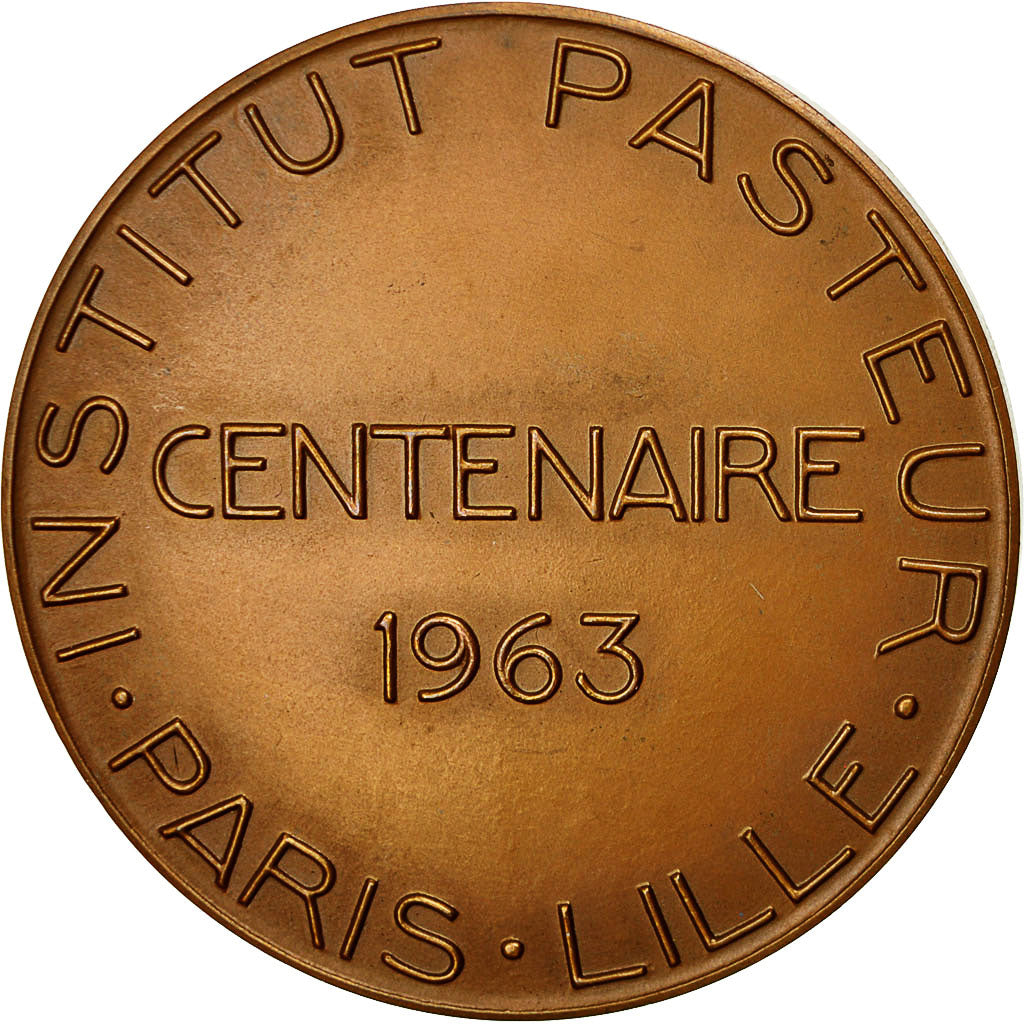 France, Medal, Centenaire de l'Institut Pasteur, Albert Calmette, 1963, Turin