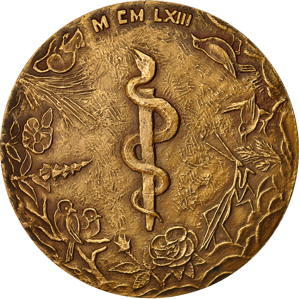 Francja, Medal, Au Doyen Léon Binet, 1963, MS(63), Bronze