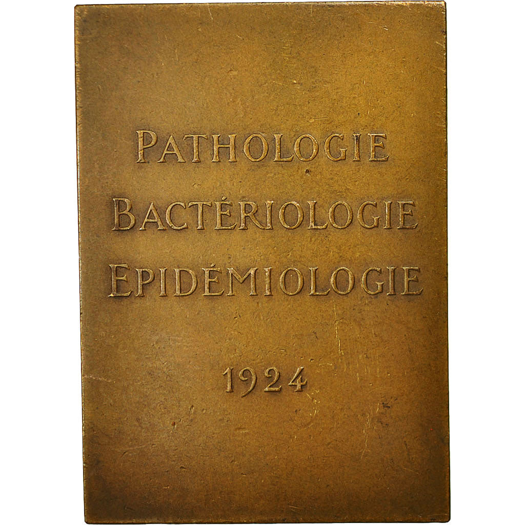 France, Medal, Professeur Leclainche, Membre de l'Institut, 1924, MS(60-62)