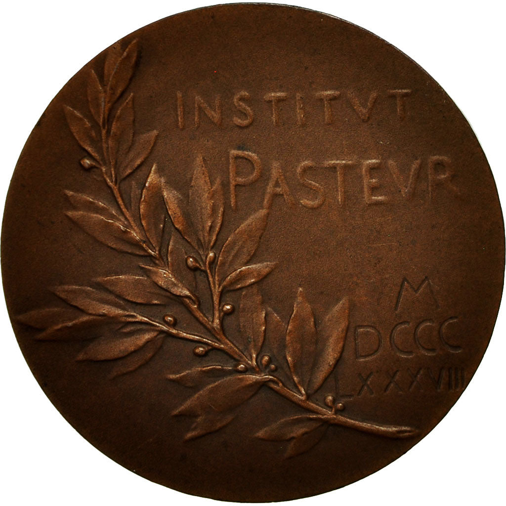 France, Medal, Louis Pasteur, 1888, Roty, MS(60-62), Bronze