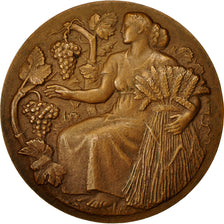 France, Medal, République Française, Ministère de l'agriculture, Petit