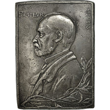 Francia, Medal, Louis Pasteur (1822-1895), BB+, Piombo