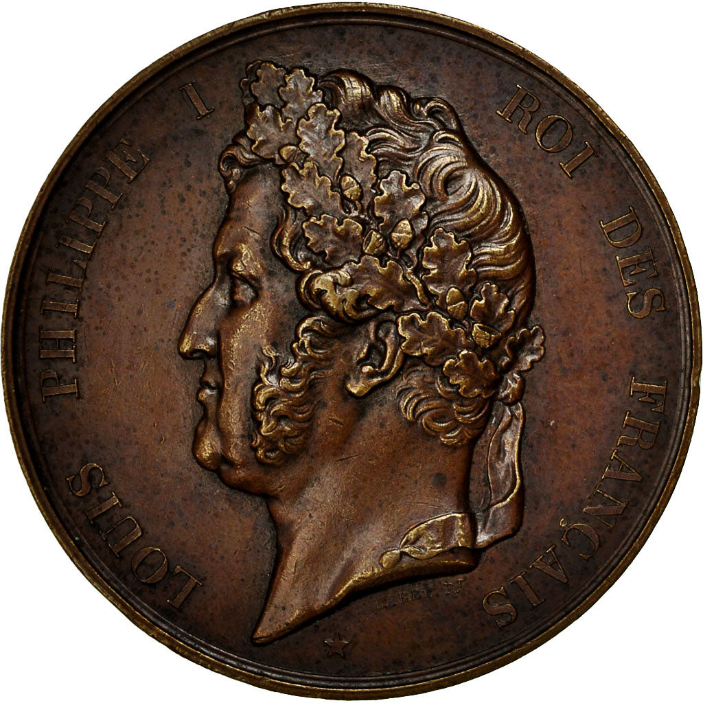 Francia, Medal, Louis Phillipe, Pont de la Roche Bernard, 1839, Barre, SPL-