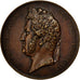 Francia, Medal, Louis Phillipe, Pont de la Roche Bernard, 1839, Barre, SPL-