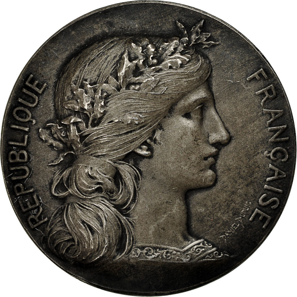 France, Medal, Institut Industriel du Nord de la France, Dupuis.D, AU(55-58)