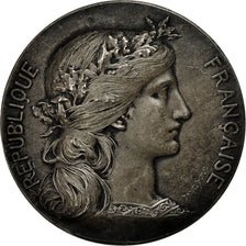 France, Medal, Institut Industriel du Nord de la France, Dupuis.D, AU(55-58)