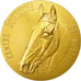 France, Medal, Cheval, Centre Equestre de Rouelles, MS(60-62), Bronze