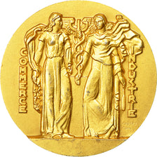 France, Medal, Chambre de Commerce de Lille, Coin, MS(60-62), Vermeil