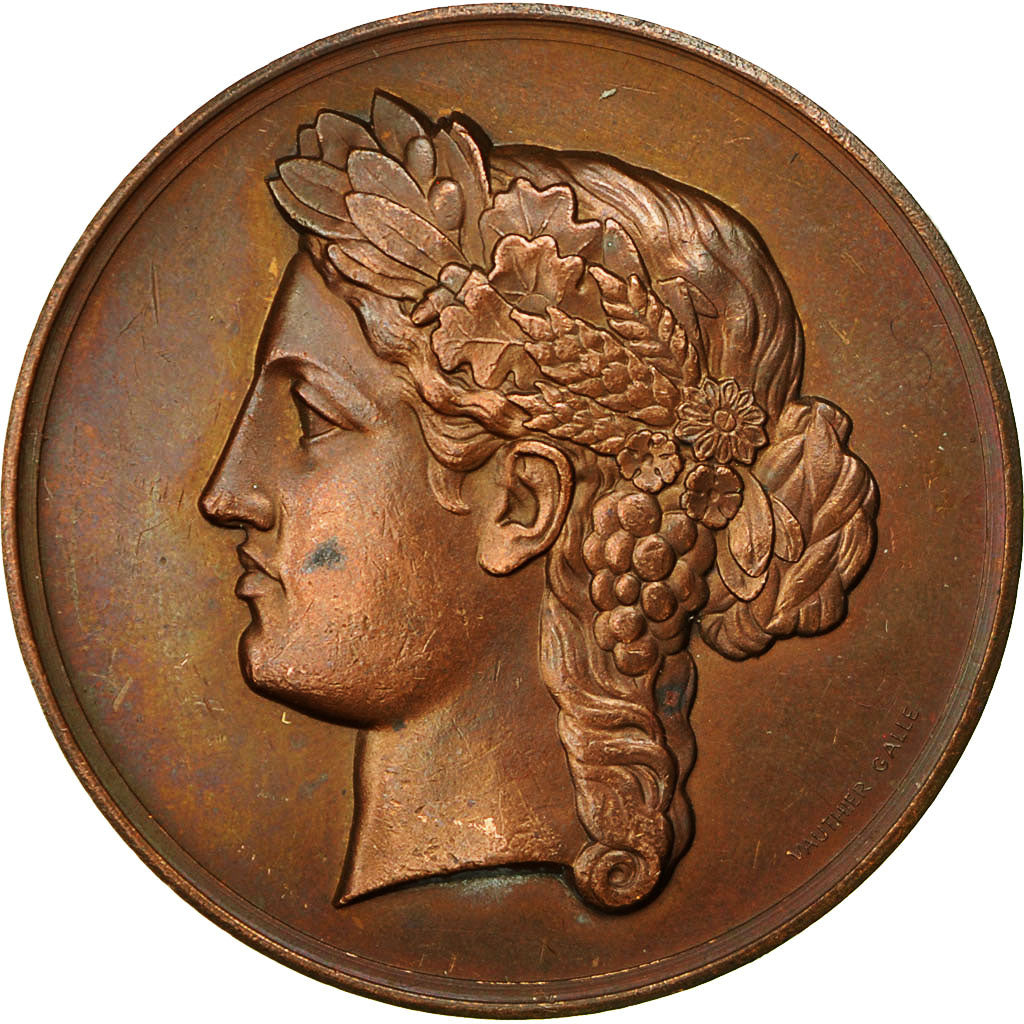 Francia, Medal, Comices de la Double Echourgnac, Marianne, 1877, Galle, SPL