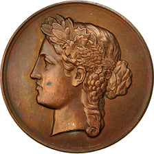 Francia, Medal, Comices de la Double Echourgnac, Marianne, 1877, Galle, SPL