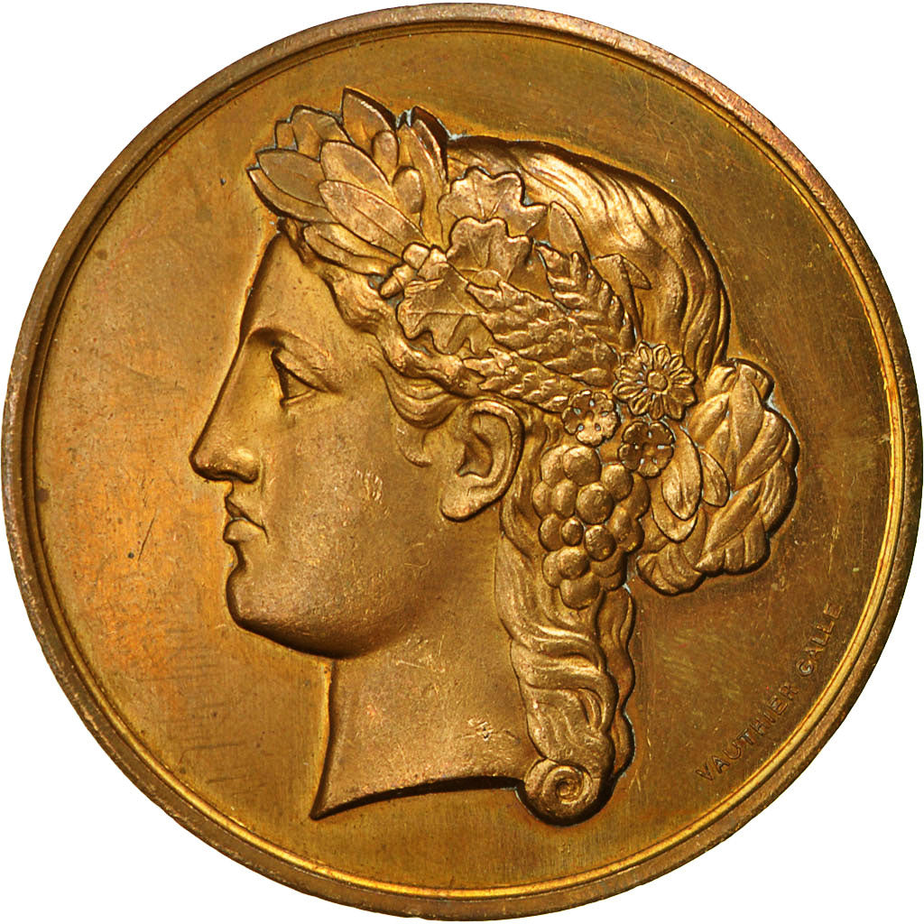 France, Medal, Comices de la Double Echourgnac, Marianne, 1885, Galle, SUP+