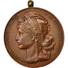 Frankrijk, Medal, Festival de la Croix Rouge, Ville de Tourcoing, 1890, ZF+