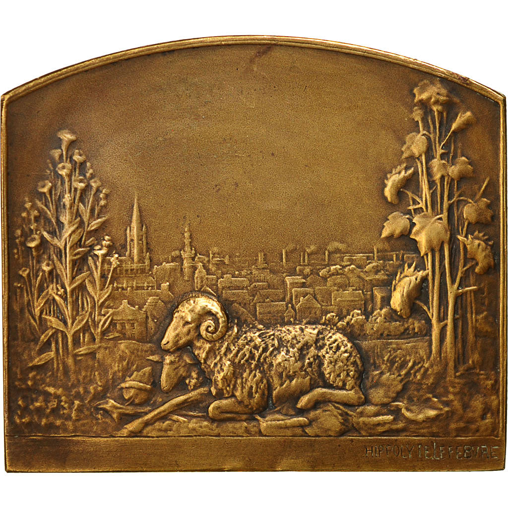 France, Medal, Ville de Tourcoing, Lefebvre, MS(60-62), Bronze