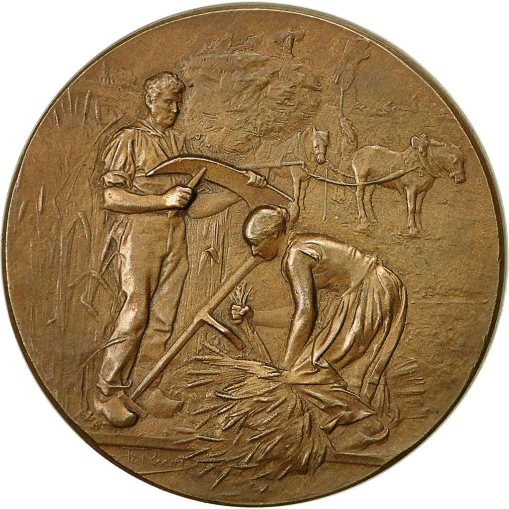 France, Medal, Comice de Remiremont, 1899, Rivet, SUP, Bronze