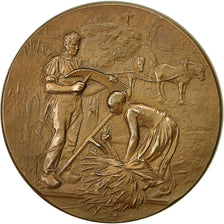 France, Medal, Comice de Remiremont, 1899, Rivet, SUP, Bronze