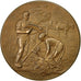 France, Medal, Comice de Remiremont, 1899, Rivet, SUP, Bronze