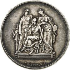France, Medal, Ecole Nationale des Beaux Arts, 1880, Gatteaux, MS(60-62), Silver