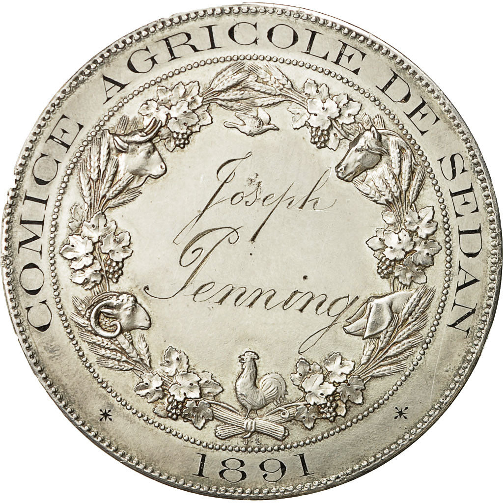 France, Medal, Comice Agricole de Sedan, 1891, Oudiné, MS(63), Silver