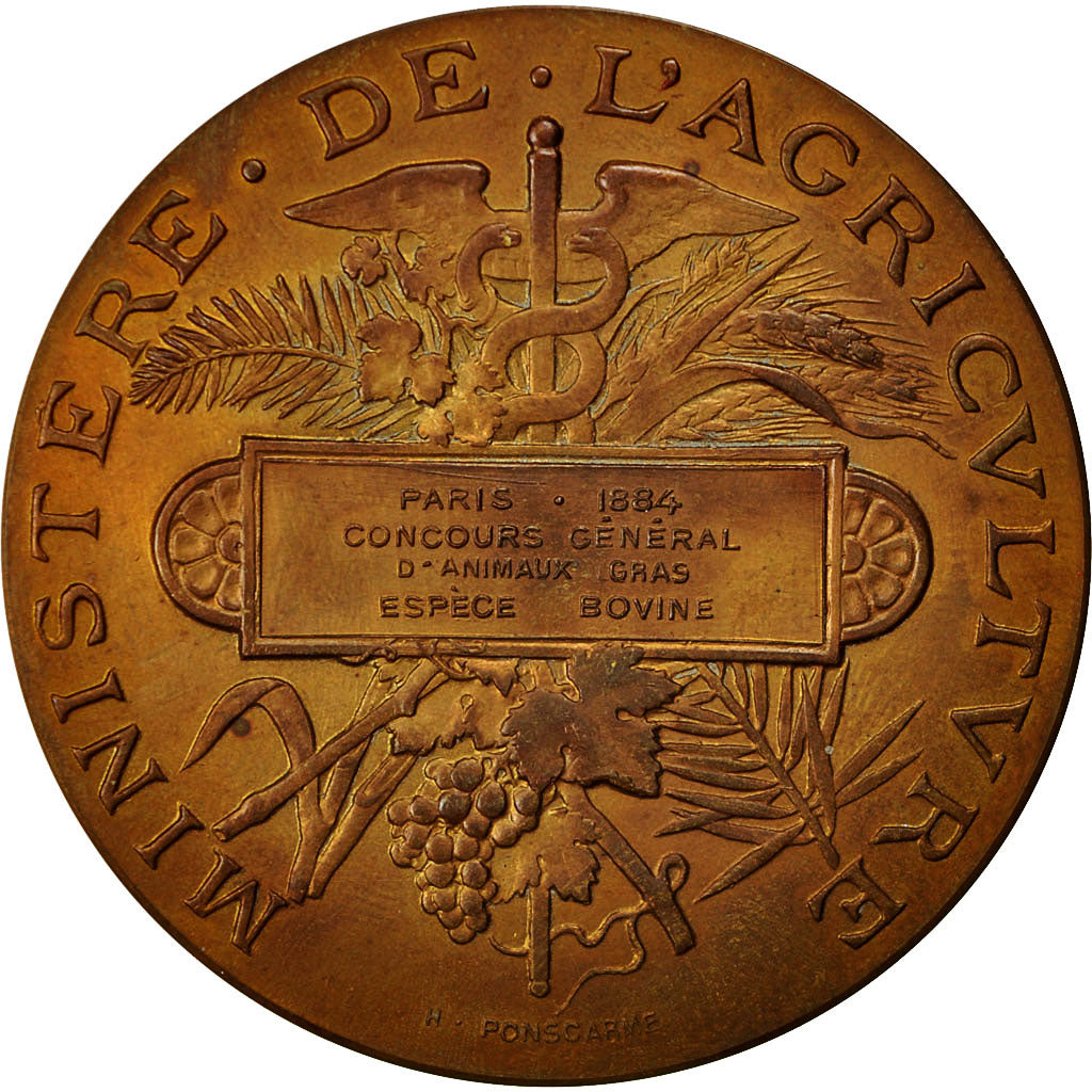 France, Medal, Ministère de l'Agriculture, 1884, Ponscarme, MS(60-62), Bronze