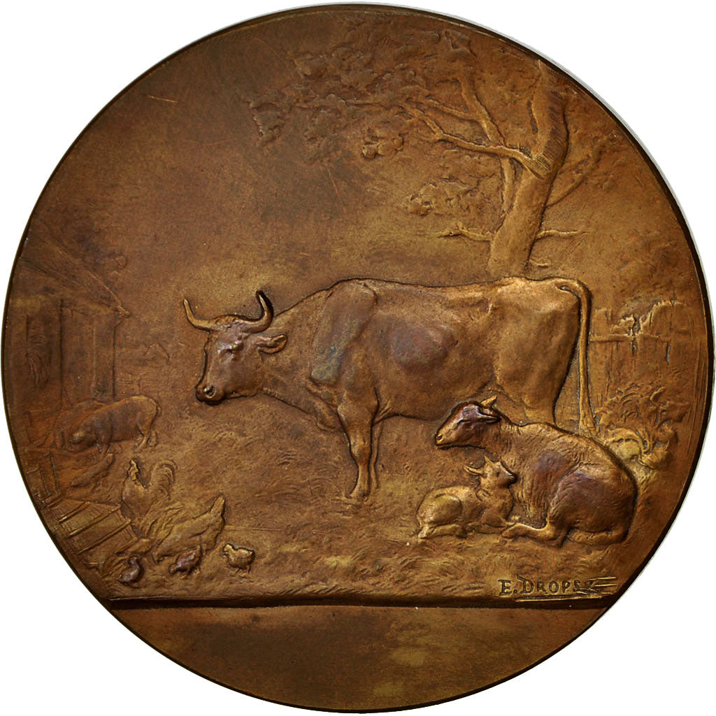France, Medal, Société d'Agriculture de l'Allier, Dropsy, MS(63), Bronze